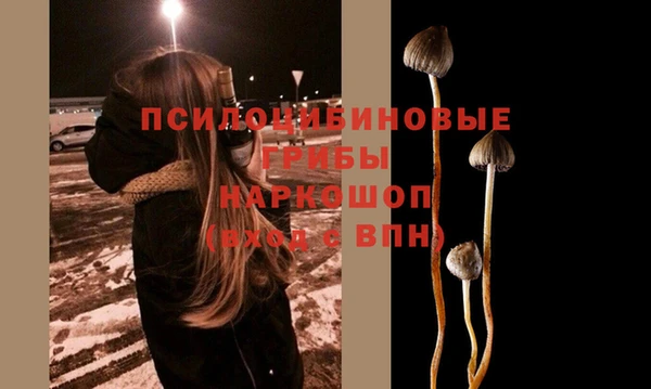 гашик Строитель