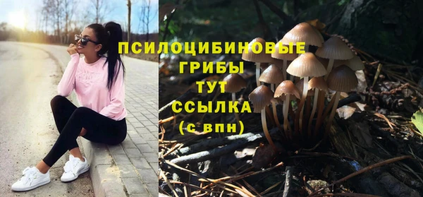 винт Сибай