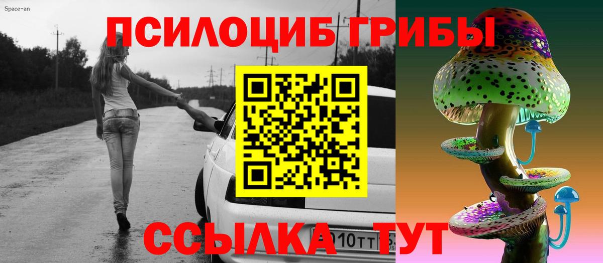Галлюциногенные грибы Psilocybine cubensis Шумерля