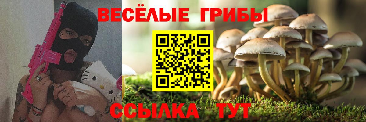 Галлюциногенные грибы MAGIC MUSHROOMS  Вход с VPN  Шумерля 